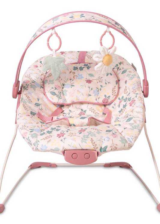Red Kite Rose and Ivy Bouncer